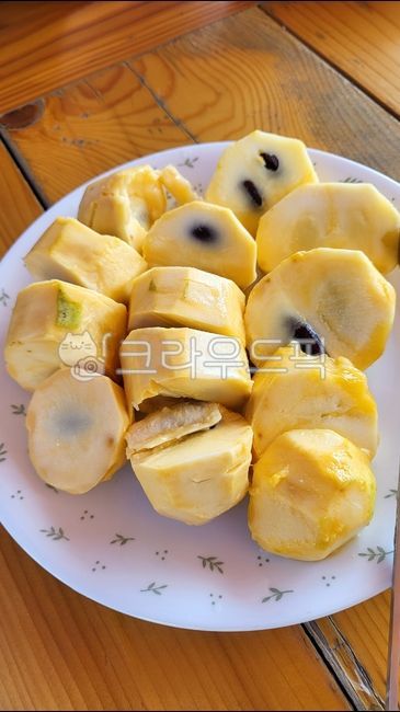 포포나무,food,음식,fruit,과일,열매