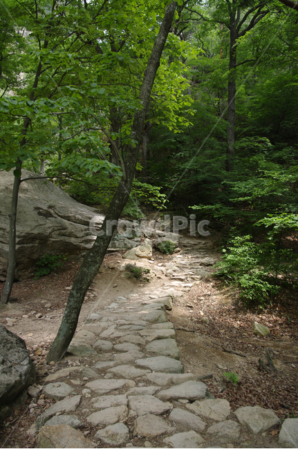 산,바위,풍경,나무,길,자연,풍경,nature,landscape,ground,바닥,path,통로,flagstone,판석,tree,plant,식물,walkway,보도