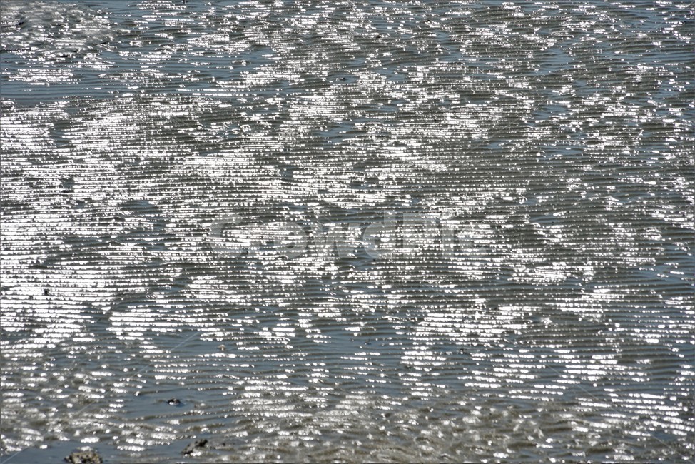 갯벌,빛반사,염분,간조,서해,텍스처,질감,패턴,texture,pattern