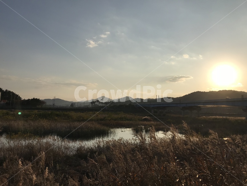 가을,따뜻,갈대,빛,풍경