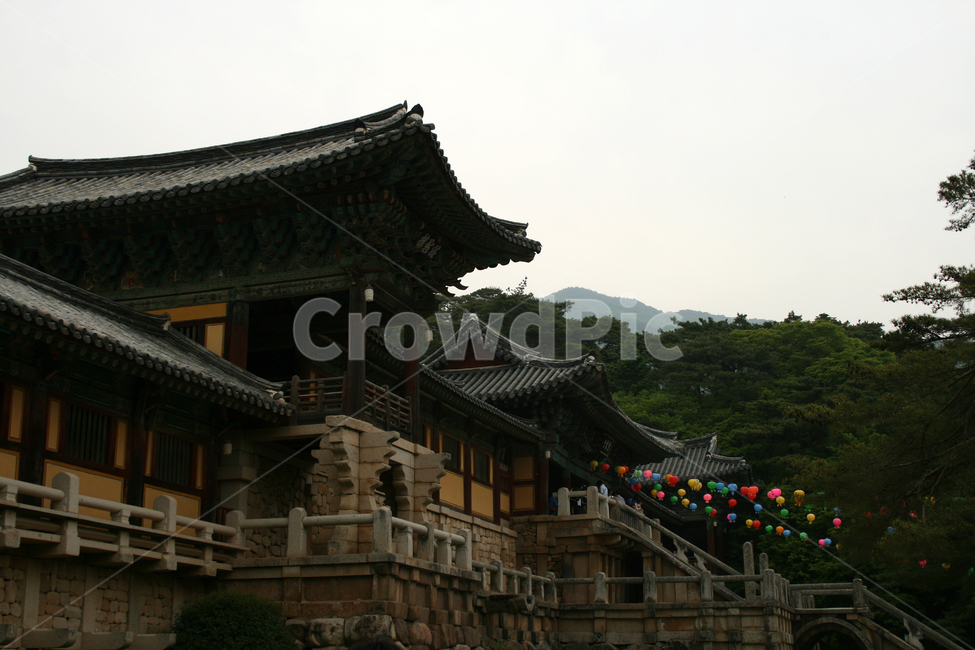 한국,경주,불국사,절,사찰,청운교,백운교,유네스코,한국전통,한국문화,korean traditional,korean culture,랜드마크,landmark,tourist attraction,한국랜드마크,한국관광지,한국명소,korea landmark,korea tourist attraction,종교,신앙,religion,belief,faith,건축물,건물외관,exterior,building,structure,architecture,construction