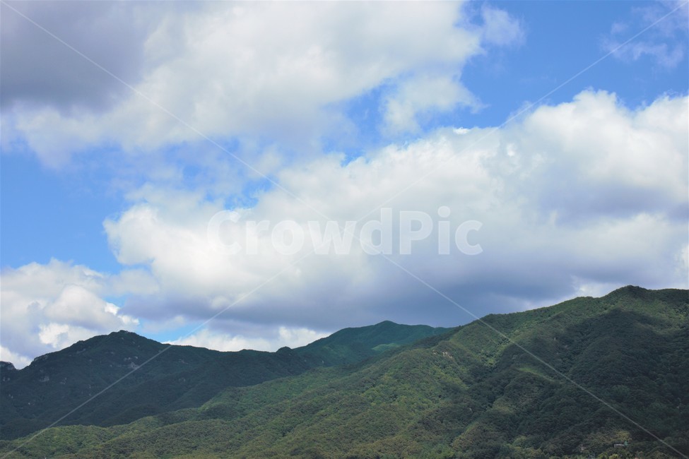 치악산,산,구름,그림자,하늘,여름,날씨,배경,숲,나무,녹색,흰색,파랑,mountain,forest,tree,shadow,cloud,sky,green,white,blue,color,weather,landscape,풍경