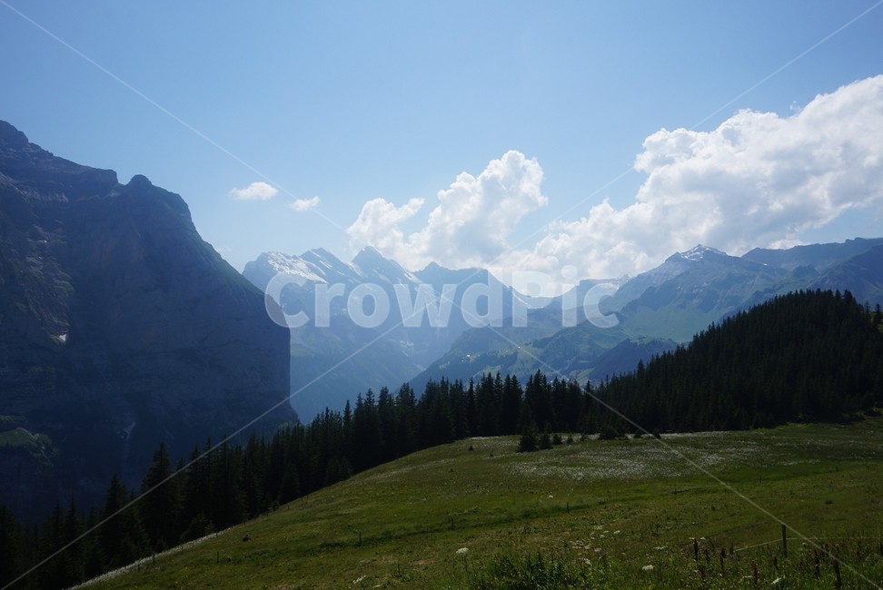 풍경,자연,스위스,산,경사,nature,mountainrange,outdoors,mountain,감성,자연,풍경,nature,landscape,slope,옥외,mountain range,산맥,plant,식물,tree,나무,fir,전나무