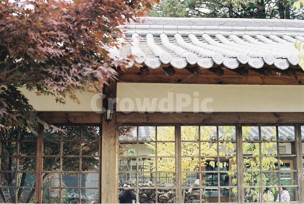 한옥,가을,단풍,기와집,옛,정취,기와,가을,계절,fall,autumn,season,한국전통,한국문화,korean traditional,korean culture,건축물,건물외관,exterior,building,structure,architecture,construction