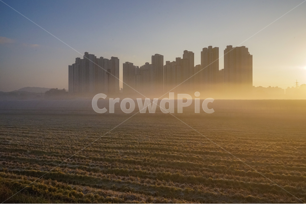 토지,농토,농사,밭,농업,안개,도시,풍경,city,landscape,한국도시풍경,한국도시경관,korea cityscape,nature,자연,fog