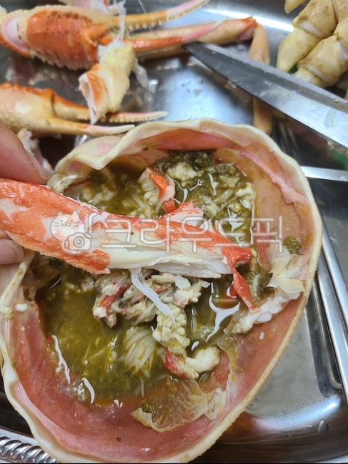 식사,대게,러시아대게,food,음식,seafood,해물,crab,invertebrate,무척추동물,sealife,해양생물,steamedbluecrab,대게내장