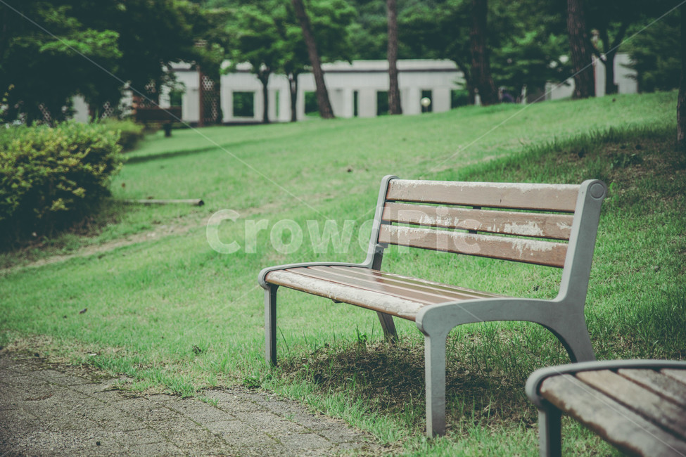 벤치,공원,여름,나무,초록,풀,나무벤치,휴식,힐링,rest,relaxation,healing