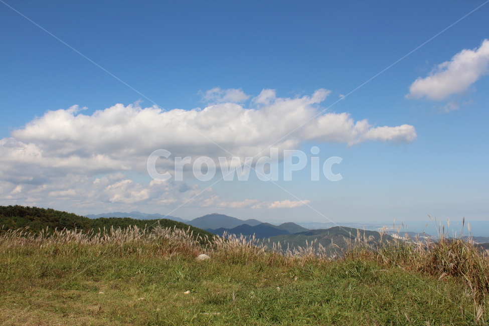 구름,하늘,억새밭,sky,nature,자연,풍경,nature,landscape,outdoors,옥외,weather,날씨,grassland,목초지,field,들