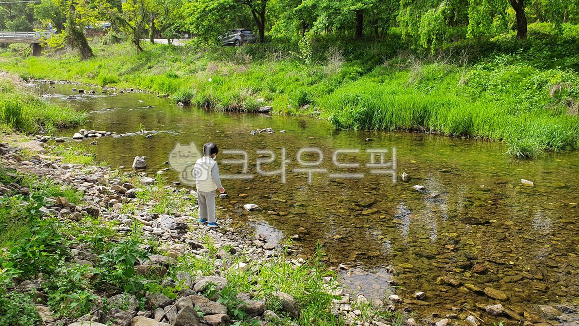 냇물, 나무, 초록, water, outdoors, 사진,이미지,일러스트,캘리그라피 - 망고몽고작가