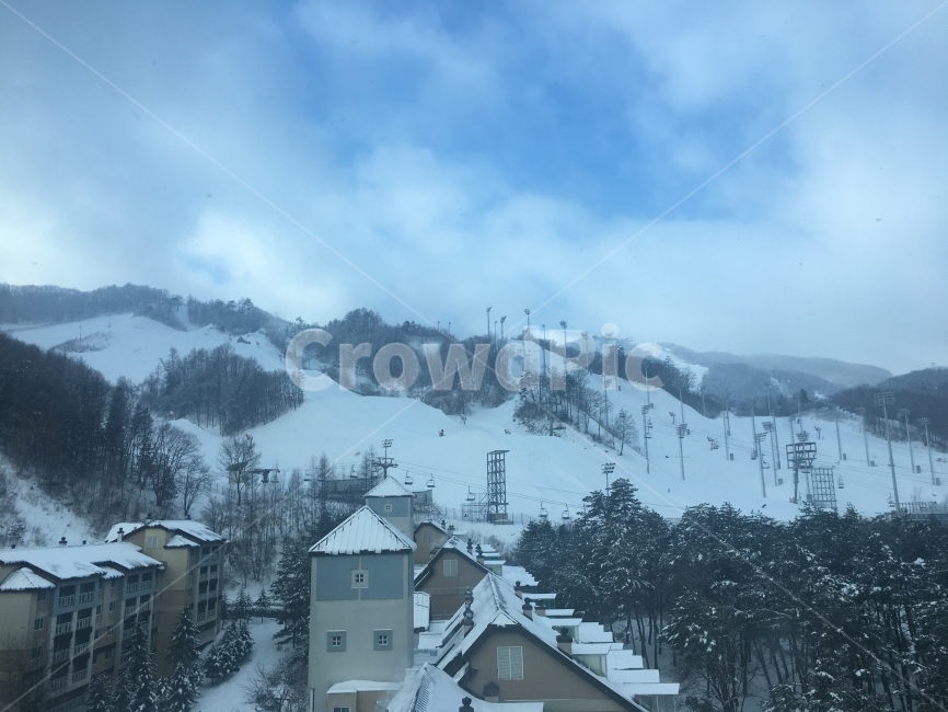 눈,눈썰매,스키,스키장,크리스마스,겨울,계절,winter,season,스포츠,레저,운동,sports,leisure,exercise