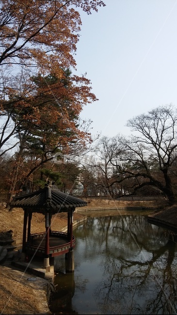 창경궁,한국,고궁,연못,정자,한국전통,한국문화,korean traditional,korean culture,랜드마크,landmark,tourist attraction,한국랜드마크,한국관광지,한국명소,korea landmark,korea tourist attraction