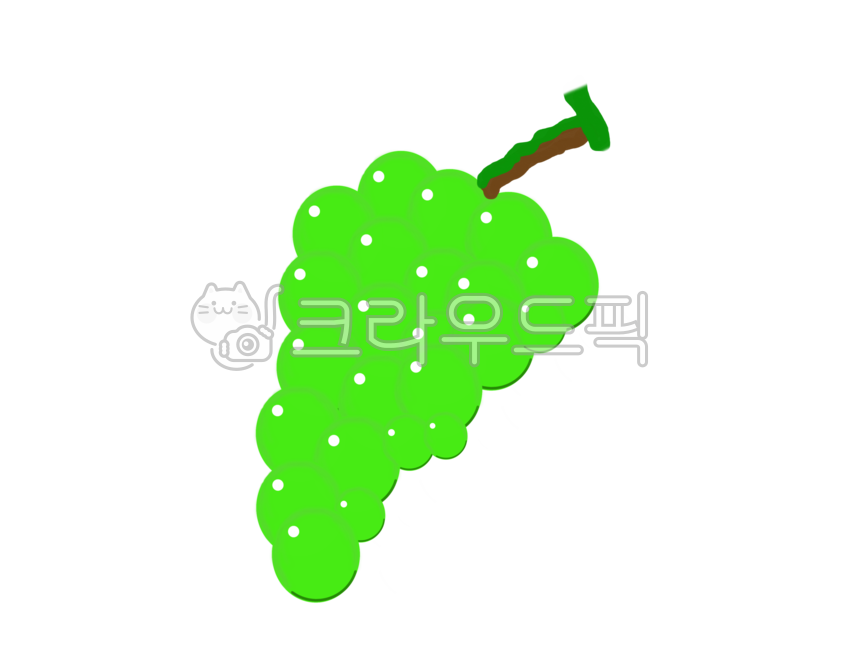포도,포도일러스트,청포도,청포도일러스트,과일,과일일러스트,grape,grapeillustratiom,greengrape
