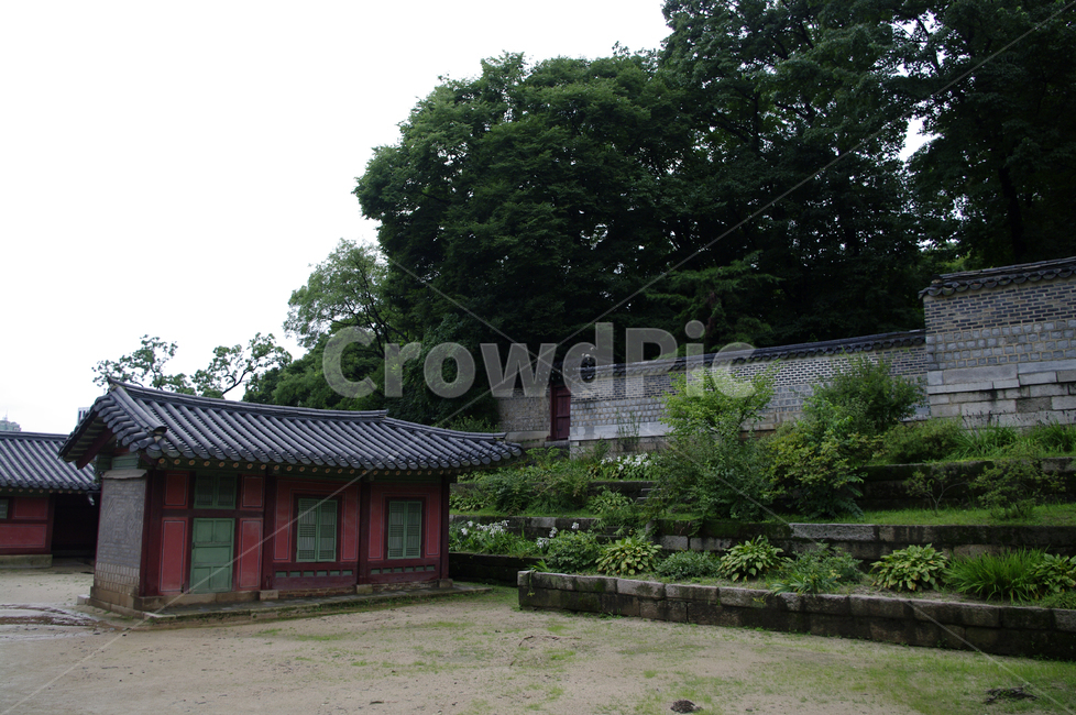 창덕궁,고궁,전각,한옥,전통가옥,기와지붕,건축,traditional,한국전통,한국문화,korean traditional,korean culture,랜드마크,landmark,tourist attraction,한국랜드마크,한국관광지,한국명소,korea landmark,korea tourist attraction,건축물,건물외관,exterior,building,structure,architecture,construction