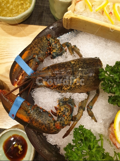 랍스터,가재,요리,가재요리,랍스타,음식,게요리,해산물,해물,수산물,seafood,fisheryproducts,dishes,meal,cook,food,점심,저녁,고급요리,lobster,해양생물