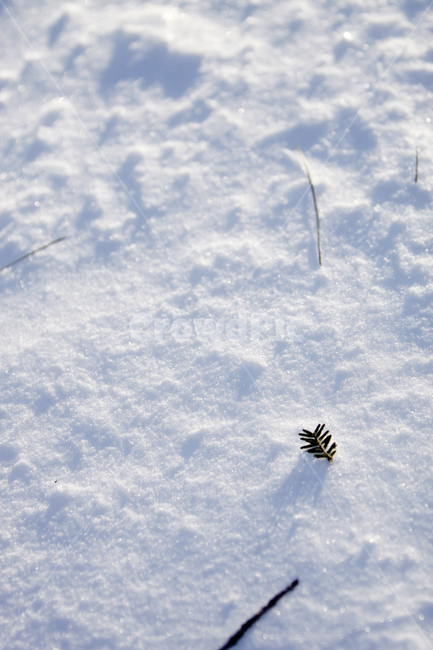 눈,snow,outdoors,겨울,winter,겨울,계절,winter,season
