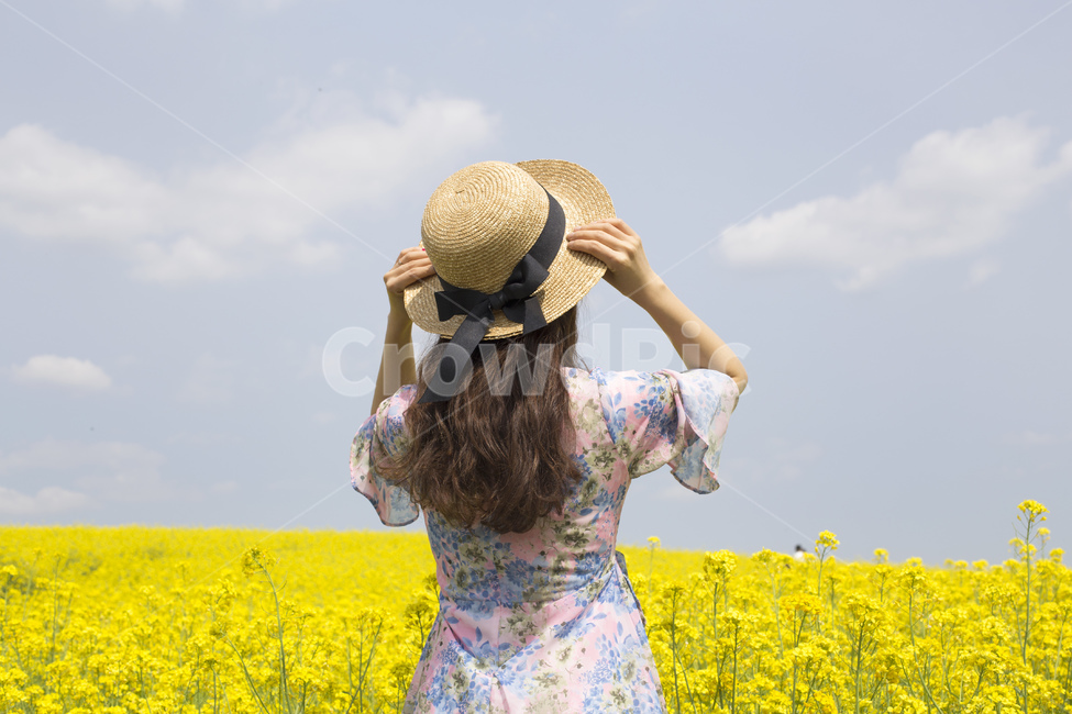 꽃,유채꽃,유채,봄꽃,봄,계절,배경화면,배경,식물,자연,노란색,노랑,여자,여성,사람,원피스,모자,챙모자,갈색머리,뒷모습,포즈,봄,계절,spring,season,여성,여자,woman,female,lady,여행,휴가,traveling,vacation,trip