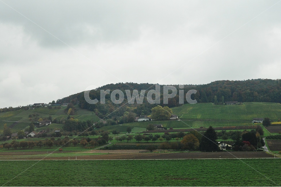 스위스,유럽,자연,녹색,여행,landscape,nature,시골,마을,풍경,landscape,country,rural,town,해외,외국,세계,foreign,oversea,world