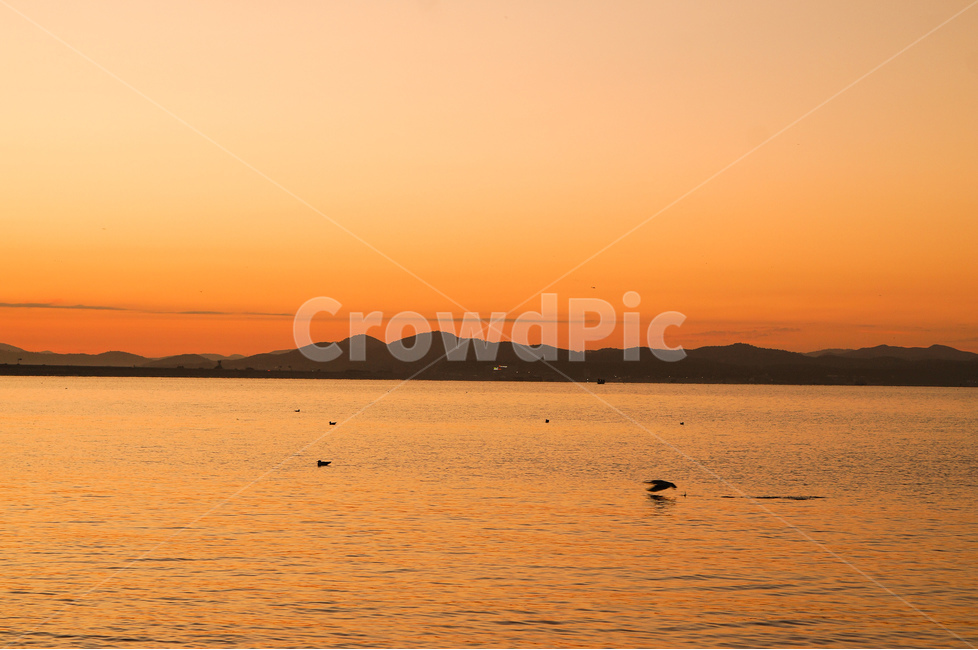 바다,일출,해,풍경,아침,자연,풍경,nature,landscape,outdoors,옥외,sky,하늘,red sky,붉은 하늘,dusk,황혼,dawn,새벽,sunset,일몰