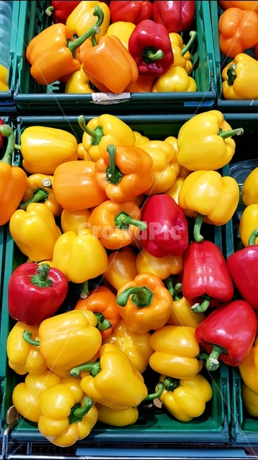 채소,피망,파프리카,빨강,노랑,음식,식재료,요리,food,cook,meal,dishes,food reserves,채소,야채,vegetables