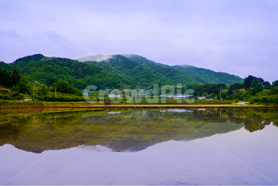 농촌,논,반영,흐린날,풍경,rural,cloudy,farmingvillage,풍경사진,landscape,배경,background,자연,풍경,nature,landscape,한국자연풍경,한국자연경관,korea nature landscape,시골,마을,country,rural,town,outdoors,옥외,water,물