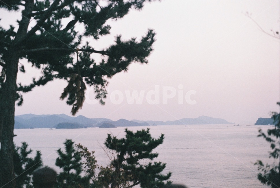 노을,석양,거리,통영,해질녘