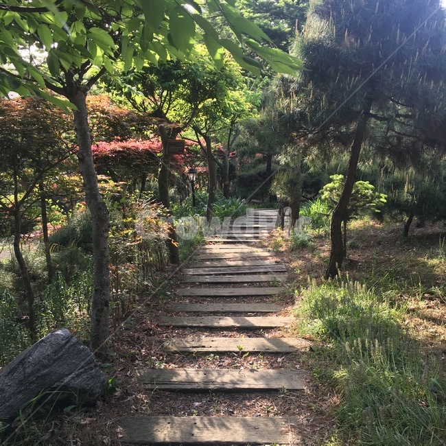선유도,공원,해질녙,풍경,park,seonyudopark,sunset,자연,풍경,nature,landscape,outdoors,옥외,garden,정원,arbour,정자