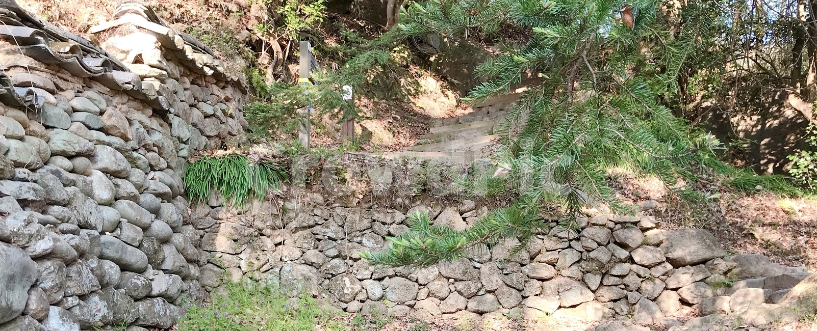 ground,바닥,돌담,숲속,돌계단,돌벽