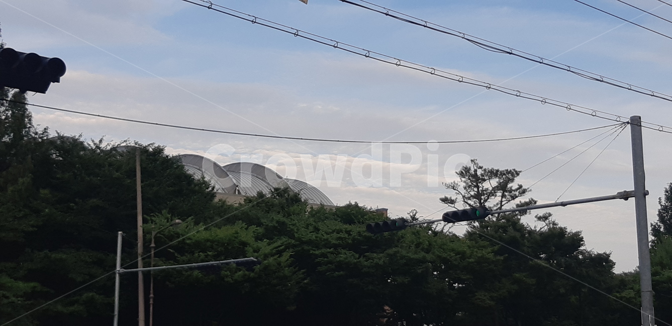 하늘,전선,구름,전깃줄,파란하늘,푸른하늘,맑은하늘,나무