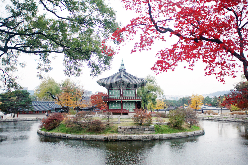자연,가을,단풍,경복궁,경회루,가을,계절,fall,autumn,season,한국전통,한국문화,korean traditional,korean culture,랜드마크,landmark,tourist attraction,한국랜드마크,한국관광지,한국명소,korea landmark,korea tourist attraction,건축물,건물외관,exterior,building,structure,architecture,construction,건물