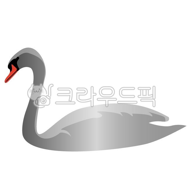 백조,고니,swan,새,조류,동물,일러스트,illust,illustration,vector,벡터,객체,오브젝트,object,디자인소스,디자인요소,graphic,그래픽