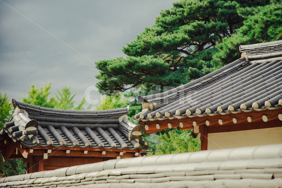 roof,지붕,한옥,나무,전통,korean,집,한국전통,한국문화,korean traditional,korean culture,건축물,건물외관,exterior,building,structure,architecture,construction
