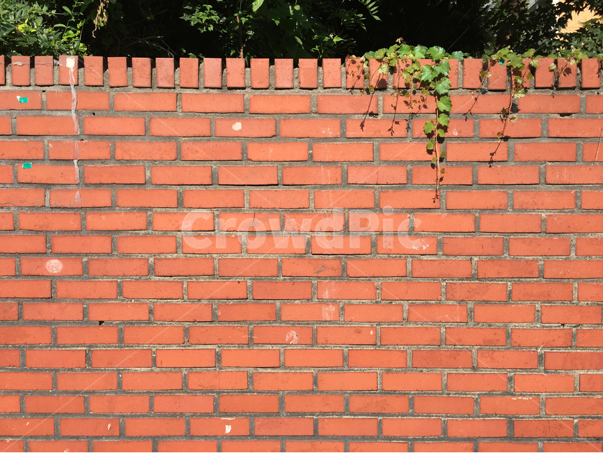 배경,백그라운드,벽,background,brick,여백,담쟁이,게시,wall,갈색,브라운,브릭,골목길,alley,벽돌