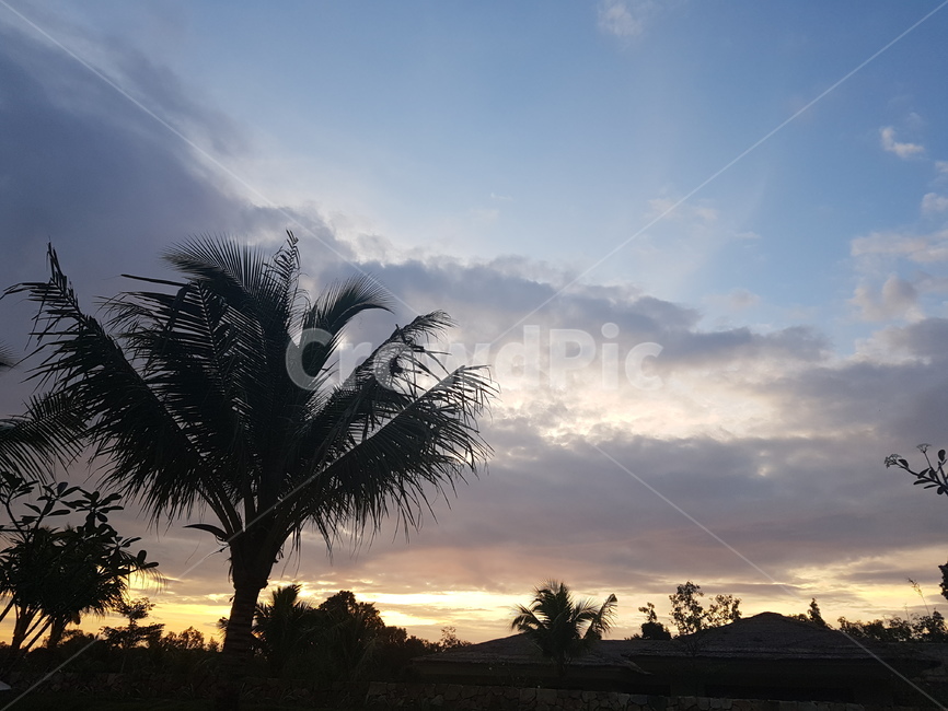 일몰,하늘,구름,노을,자연,자연,풍경,nature,landscape,outdoors,옥외,tree,나무,plant,식물,sky,sunset,dusk,황혼,dawn,새벽,red sky,붉은 하늘