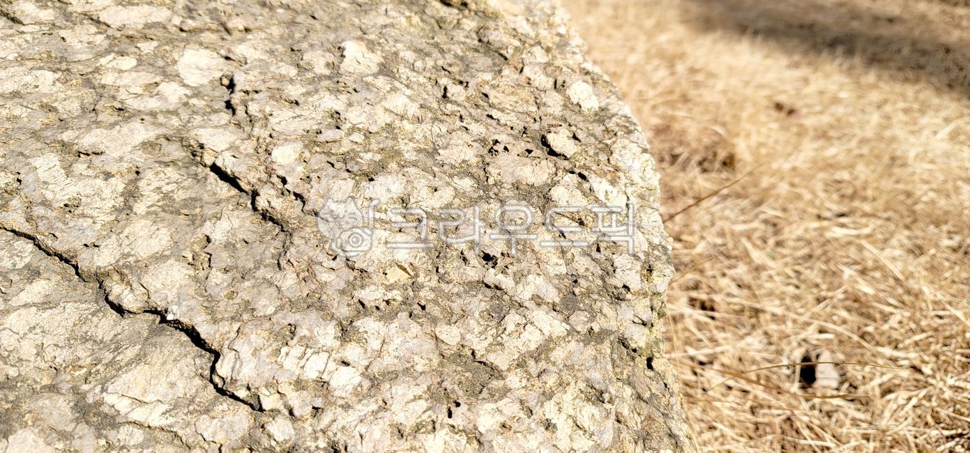 rock,winter grass,grass,Rough surface,Rough feeling