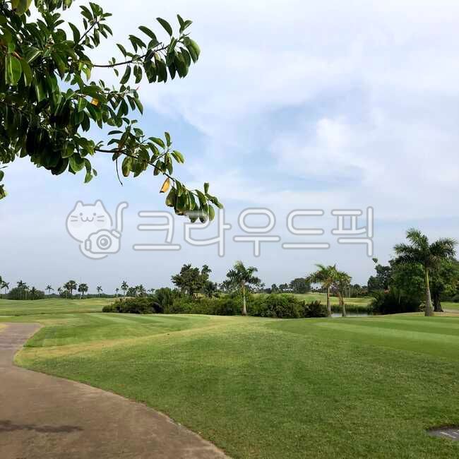 golf,Vietnam Golf,field,golf course,overseas golf,golfcourse