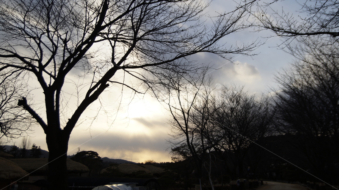 구름,바람,숲,하늘,감성,여유,빛,그림자,나무,자연,풍경,nature,landscape,tree,plant,식물