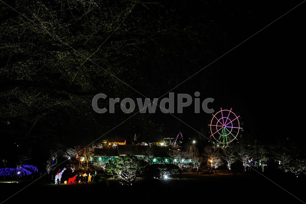 놀이공원,대관람차,야간개장,전주동물원,전주놀이동산,놀이동산,야경,밤,풍경,nightscape,night,landscape,amusement park,놀이 공원,ferris wheel,관람차