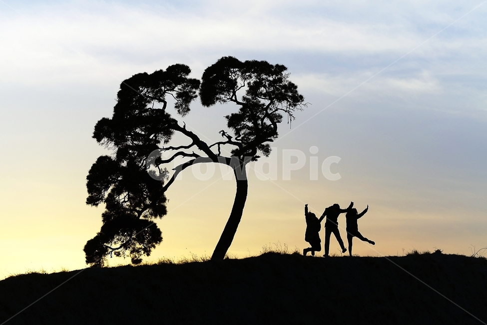 감성,나무,노을,저녁노을,특이한나무,실루엣,그림자,silhouette,shadow,인물실루엣,사람실루엣,character silhouette,human silhouette,nature,자연,outdoors,옥외