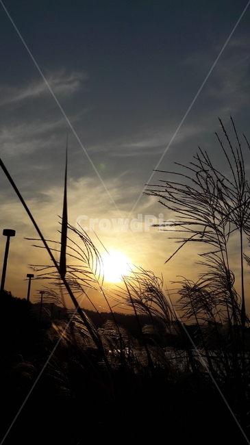 서래섬,하늘,노을,가을,붉은,자연,풍경,nature,landscape,sunlight,햇빛,flare,플레어,light,빛,outdoors,옥외