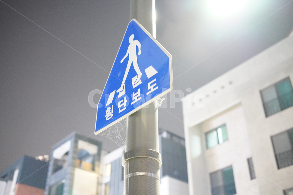 횡단보도,가로수,거미줄,표지판,파란색,교통,교통수단,traffic,transportation
