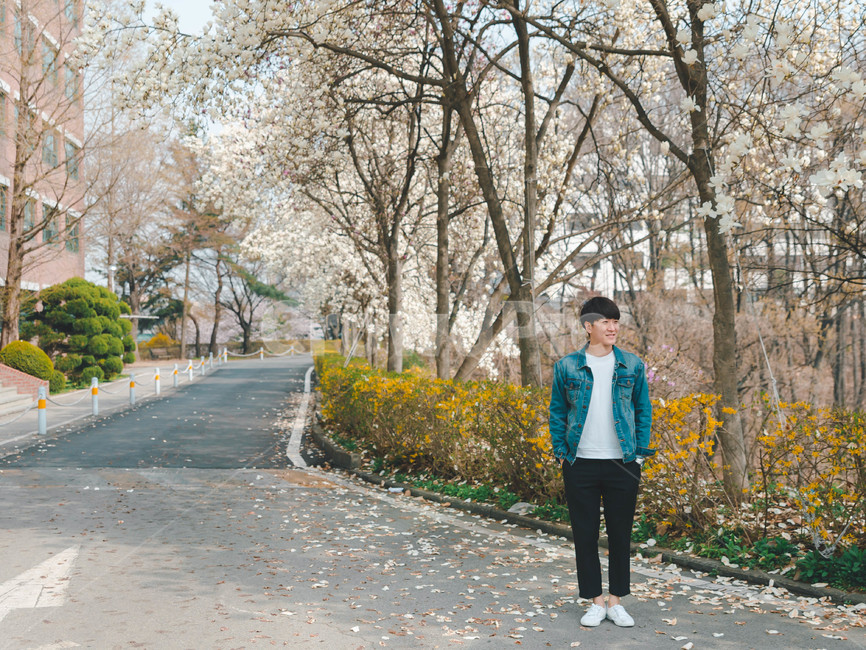 남자,인물,벚꽃,봄,man,봄,계절,spring,season,사람,인물,인간,human,person,남성,남자,man,male,road,도로,pants,바지,asphalt,아스팔트