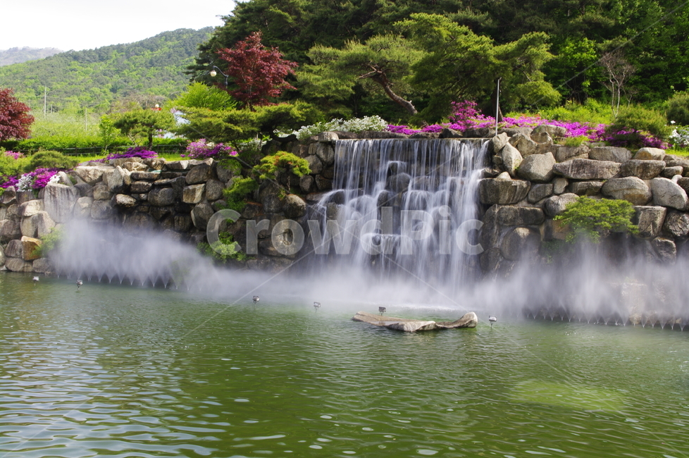 폭포,화단,바위,꽃,flower,식물,plant,계절,봄,spring,자연,풍경,nature,landscape,water,물,outdoors,옥외,river,강,waterfall