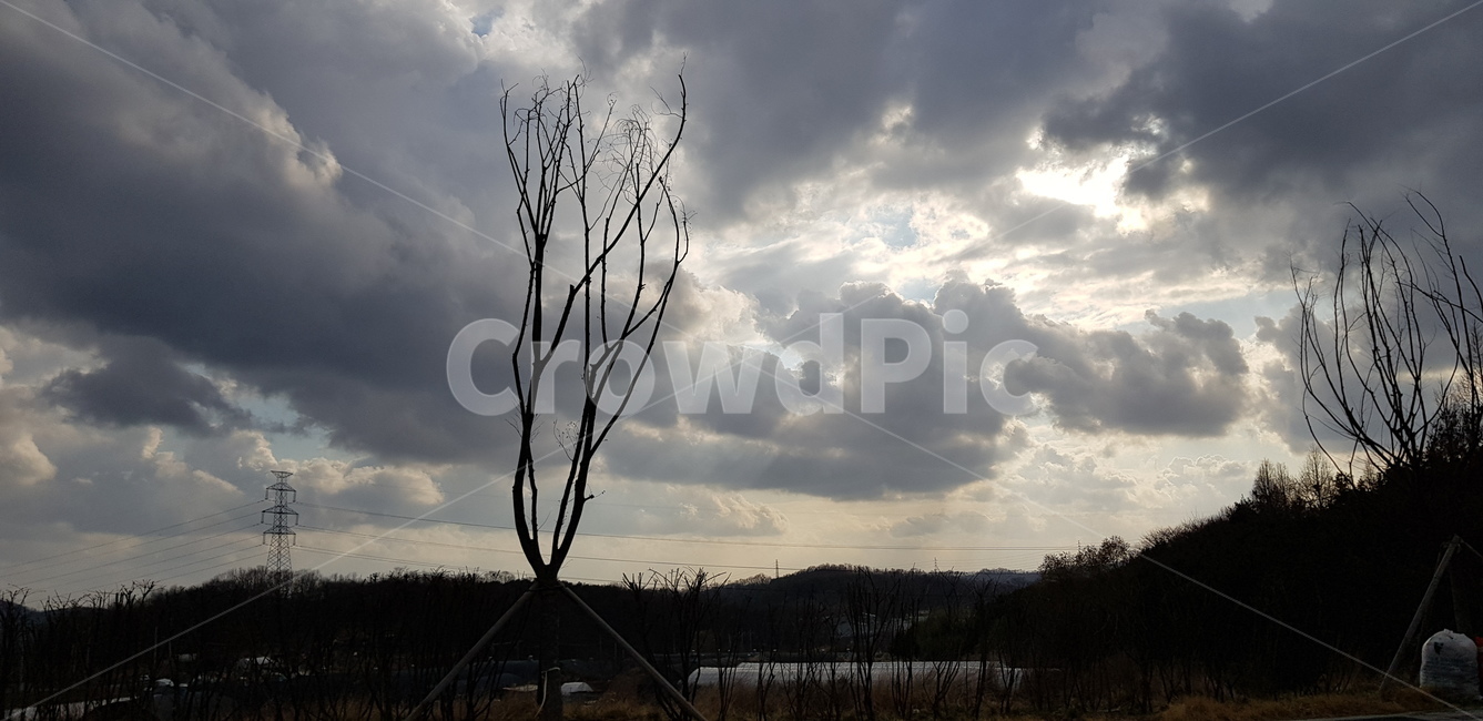 nature,자연,outdoors,옥외,tree,식물,plant,날씨,weather,나무,구름,하늘
