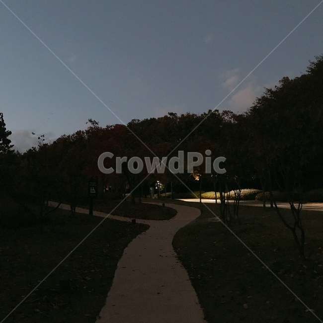 밤길,산책,밤하늘,공원,갈림길,자연,풍경,nature,landscape,야경,밤,nightscape,night,path,통로