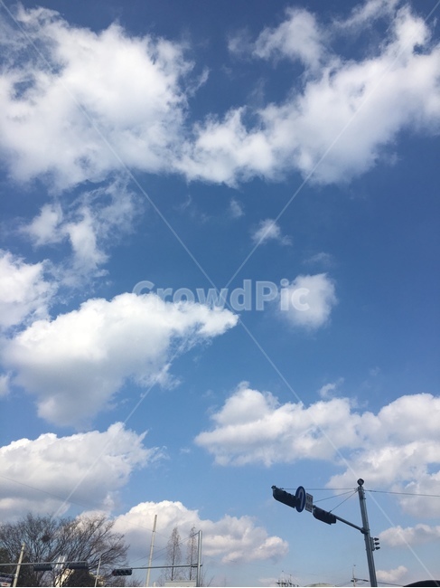 nature,자연,outdoors,옥외,하늘,sky,푸른하늘,azuresky,푸른,blue,cloud,구름,맑은날,신호등,나무,자연경관,길거리,street,sunny,빛