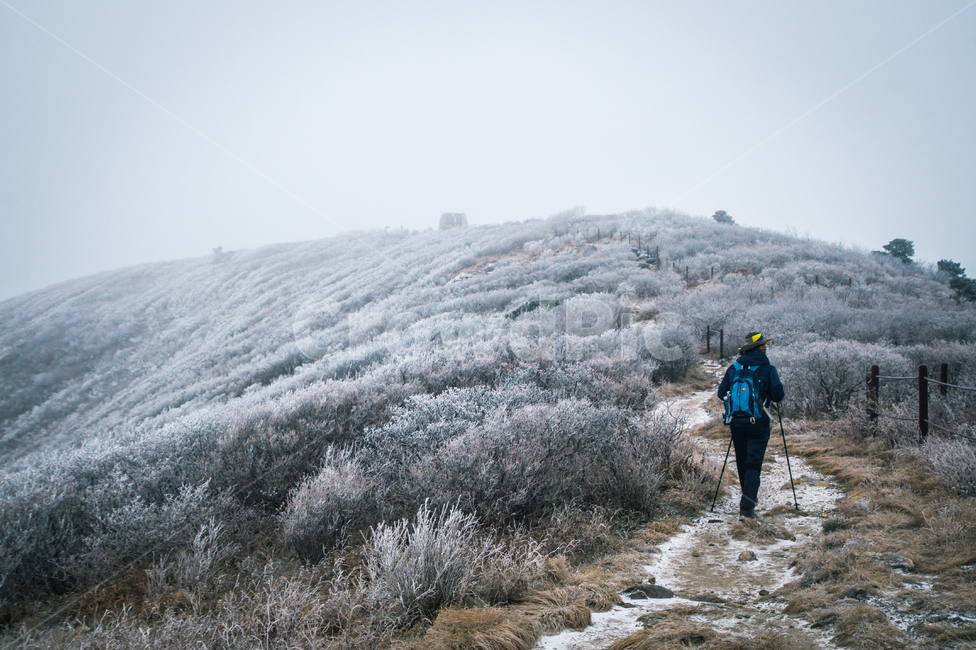 겨울,산행,등산,설경,태백산,눈,풍경,여행,winter,climb,mountain,landscape,climbmountain,snowing,tour,koreatouristattraction,눈오는날,한국자연풍경,자연풍경,강원도