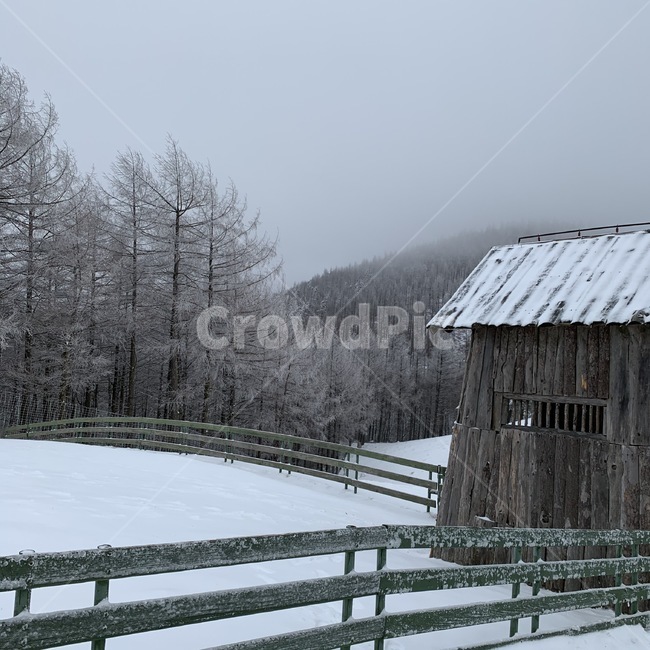 nature,자연,눈,snow,겨울,winter,강원도,강릉,대관령,대관령양떼목장,눈덮인지붕