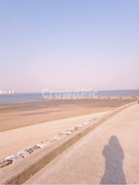 바다,그림자,자연,여유,갯벌
