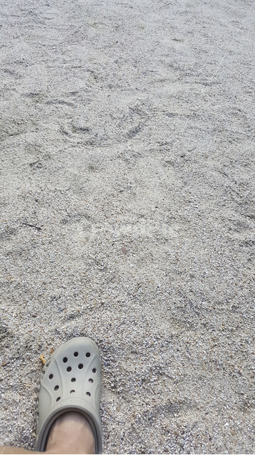 rug,road,도로,자갈,dirtroad,흙길,모래,바다모래,여름바다,동해바다모래,여름흔적