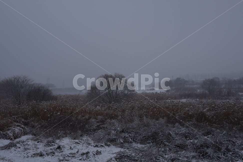 snow,winter,nature,풍경,겨울,눈,배경,겨울,계절,winter,season,자연,풍경,nature,landscape